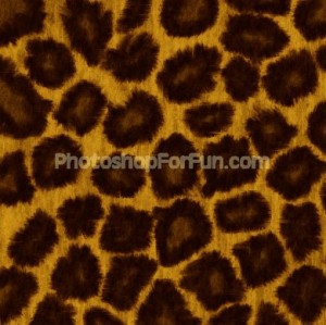 leapard_texture